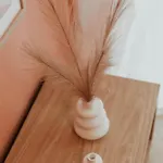 Cozy Peach Nest *