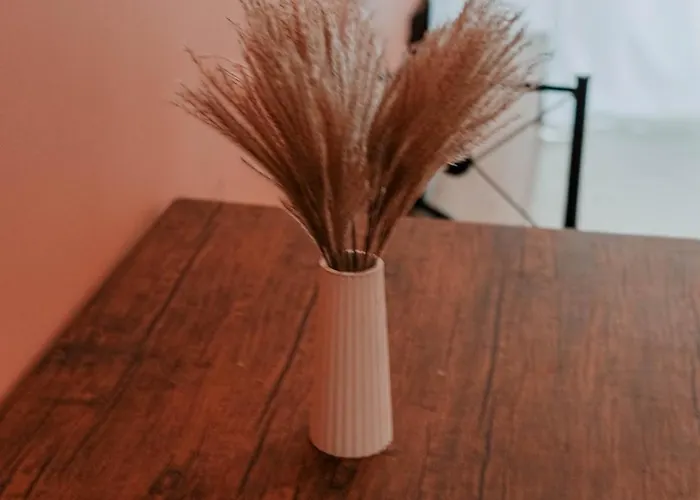 Cozy Peach Nest 아파트 Tolón