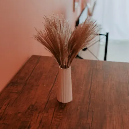 Cozy Peach Nest アパート トロン